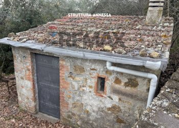 ANNESSO - Terreno agricolo STRADA PERETI
SNC, Roccastrada - foto 3