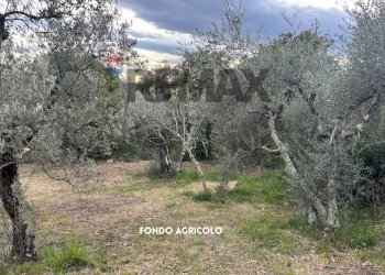 ULIVETO - Terreno agricolo STRADA PERETI
SNC, Roccastrada - foto 8