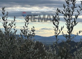 Vista delle montagne - Terreno agricolo STRADA PERETI
SNC, Roccastrada - foto 10