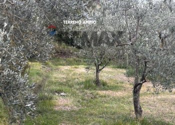 ULIVETO - Terreno agricolo STRADA PERETI
SNC, Roccastrada - foto 15