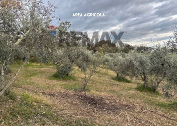 ULIVETO - Terreno agricolo STRADA PERETI
SNC, Roccastrada - foto 17