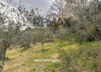 ULIVETO - Terreno agricolo STRADA PERETI
SNC, Roccastrada - foto 23