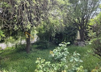 2.jpeg - Four-room apartment Via Benso 20, Chieri - photo 19