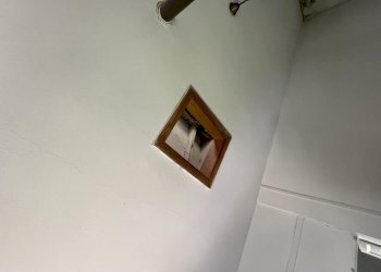 IMG_8791.jpeg - Villa Trifamiliare Sarzana - foto 15