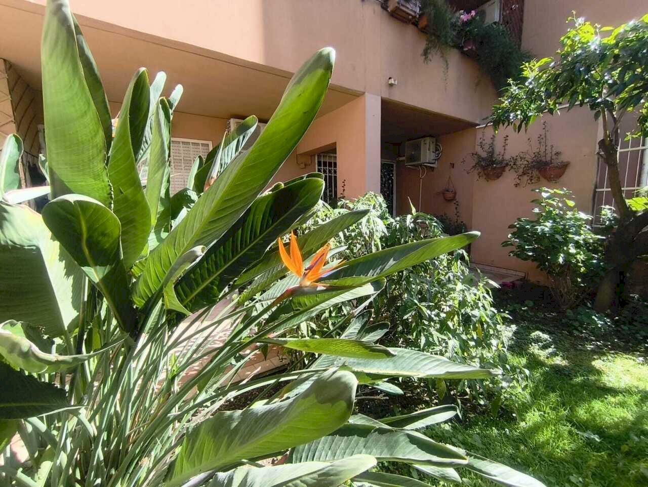 Giardino - Appartamento Via dell'Automobilismo, Roma - foto 1