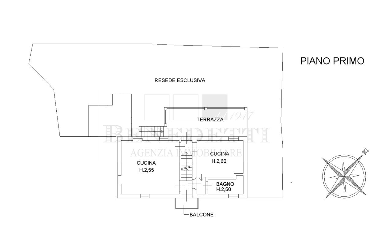 Plan P1.jpg - Rustico Via Antonio Meucci 1, Pietrasanta - planimetria 1