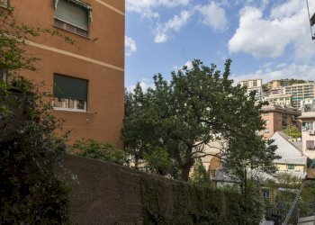 IMG_1921.jpg - Appartamento Via Pontetti 26, Genova (zona San Martino) - foto 16