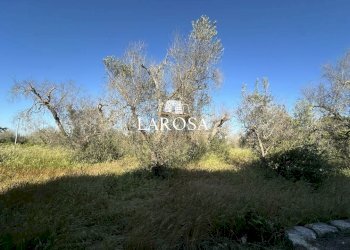 6.jpg - Terreno agricolo Via Oceania 1, Melendugno - foto 6