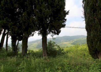 Rustico Via Moglio, Sasso Marconi - foto 8