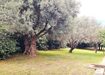 Appartamento Via delle Ginestre, Varazze - foto 31