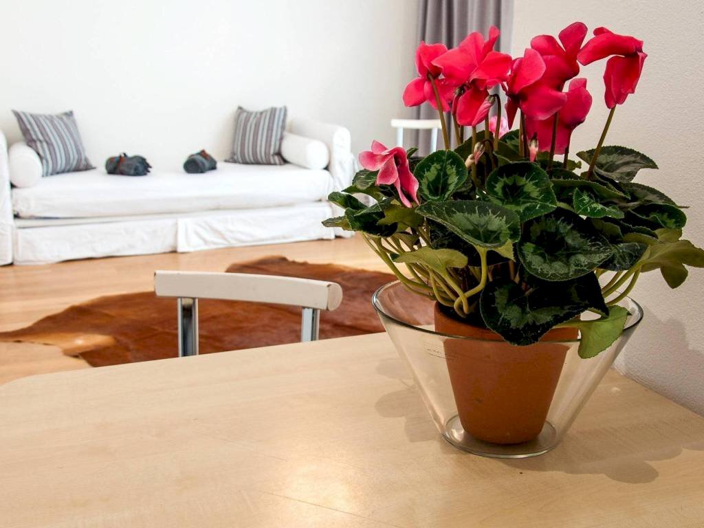 Loft Viale Antonio Aldini, 218, Bologna - foto 2