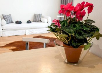 Loft Viale Antonio Aldini, 218, Bologna - foto 2