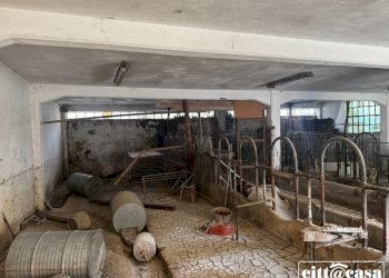 Cascina Lauriano - foto 33