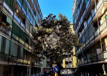 One-room apartment Via tartini, Milano (neighborhood Dergano) - photo 4