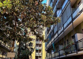 One-room apartment Via tartini, Milano (neighborhood Dergano) - photo 23
