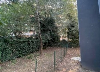 Two-room apartment Via degli Orti, 29, Bologna (neighborhood Murri) - photo 15