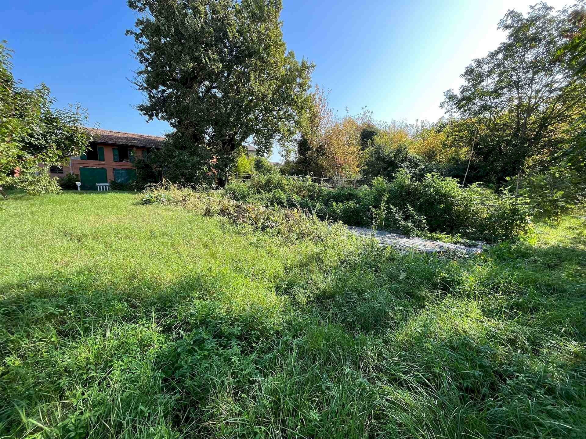 Building land Modena - photo 3