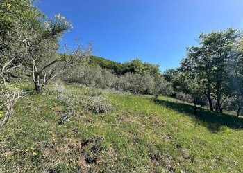 Casale Sorano - photo 23