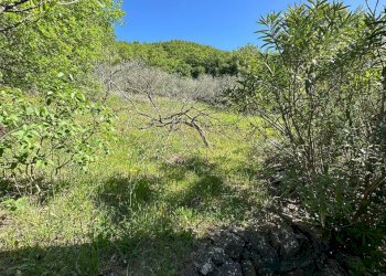 Casale Sorano - photo 36