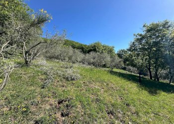 Casale Sorano - photo 37