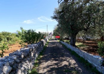 Rustico Contrada Pagliericci, Monopoli - foto 32