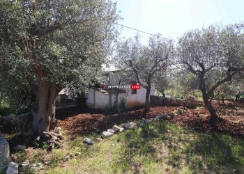 Rustico Contrada Pagliericci, Monopoli - foto 33