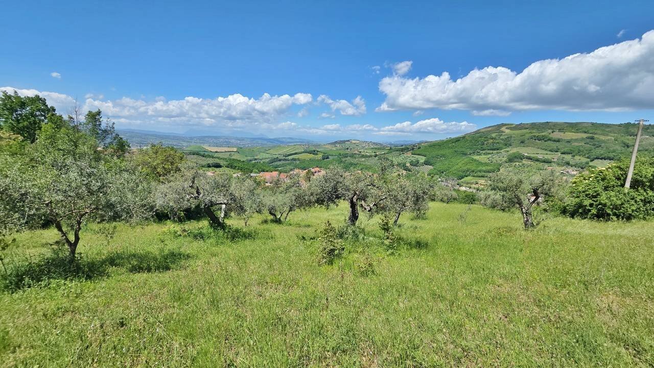Foto 2 - Terreno agricolo Castel Baronia - foto 2