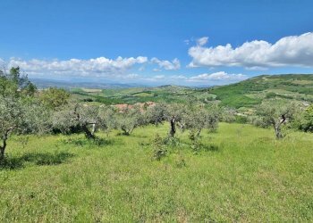 Foto 2 - Terreno agricolo Castel Baronia - foto 2