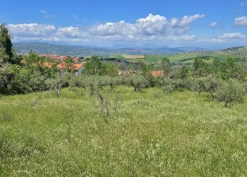 Foto 5 - Terreno agricolo Castel Baronia - foto 5