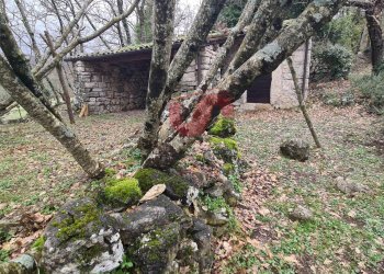 Foto 43 - Villa Contrada Grotte, Pontelandolfo - foto 43