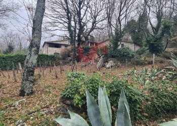 Foto 44 - Villa Contrada Grotte, Pontelandolfo - foto 44