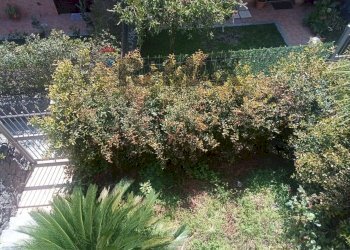 Giardino - Villa a Schiera Via Princessa
 
5/G, Santa Venerina - foto 32