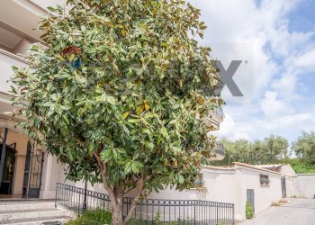 Edificio all\'aperto - Three-room apartment Via Amatore Sceisa
 
86, Marino - photo 64