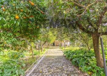 Giardino - Villa Via Corso
 
52, Sessa Aurunca - foto 33