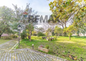 Giardino - Villa Via Corso
 
52, Sessa Aurunca - foto 34