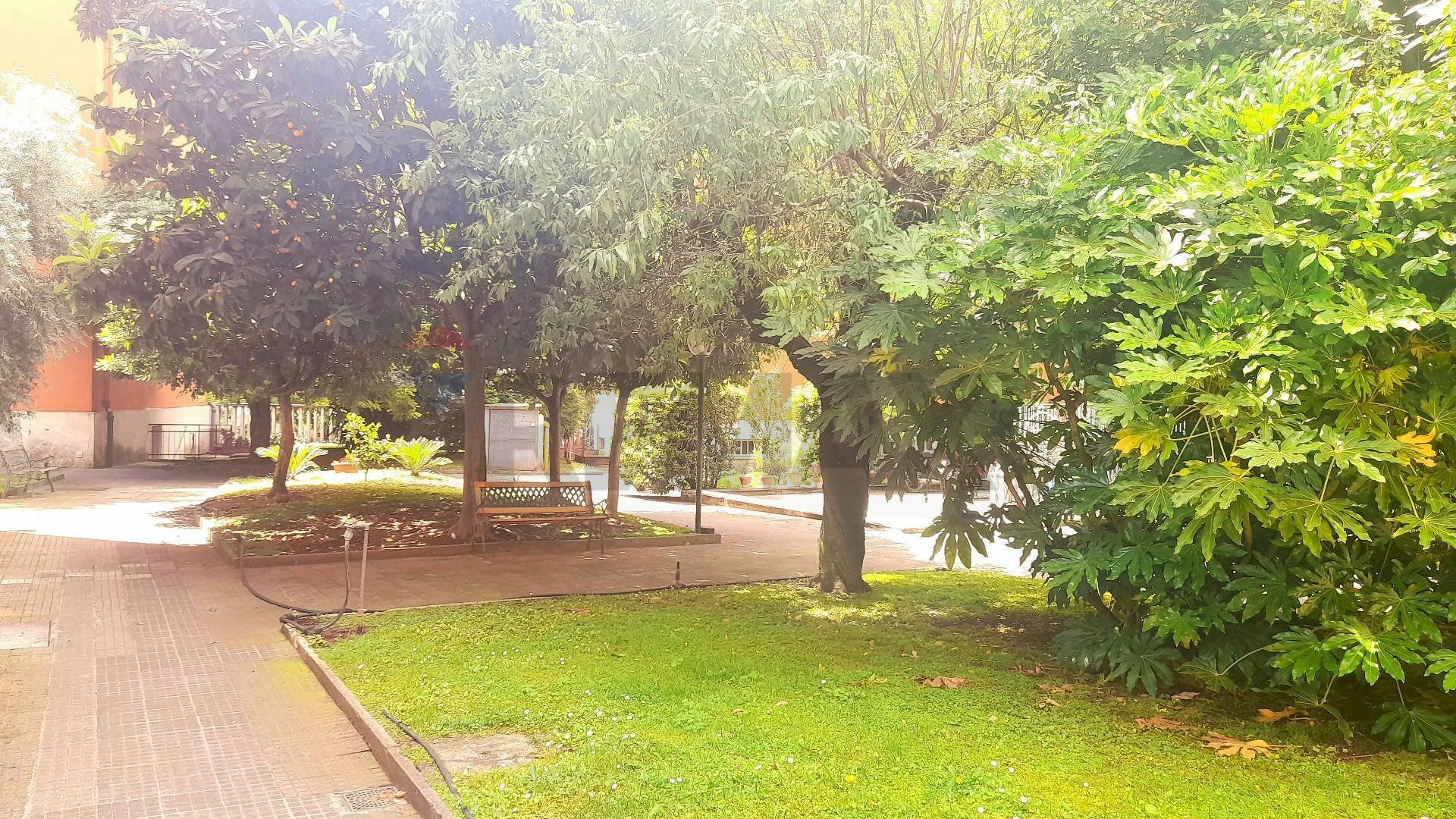 Giardino - Quadrilocale Roma - foto 2