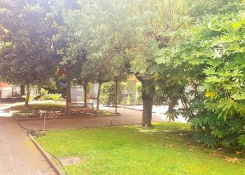 Giardino - Quadrilocale Roma - foto 2