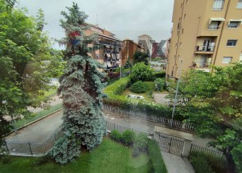 Edificio all\'aperto - Quadrilocale Strada Della Magra
 
5, Torino - foto 14