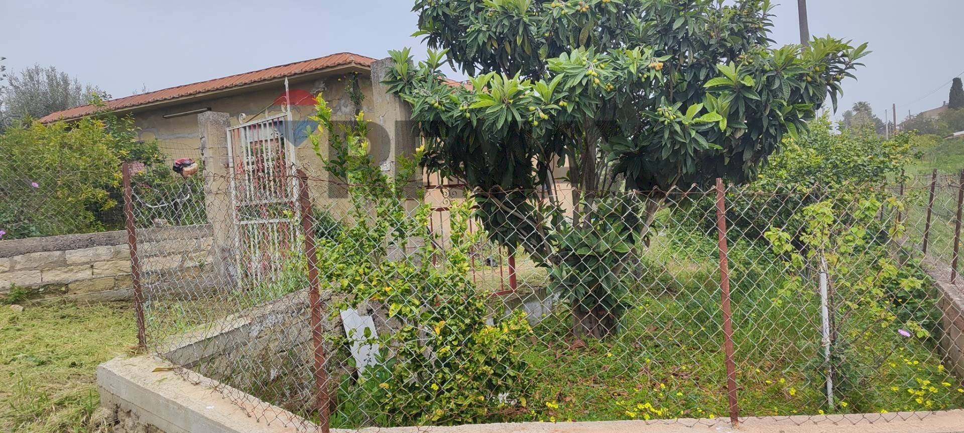 Giardino - Villa CONTRADA SAN NICOLO' LE CANNE
SN, Caltagirone - foto 3