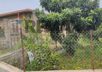 Giardino - Villa CONTRADA SAN NICOLO' LE CANNE
 
SN, Caltagirone - foto 3