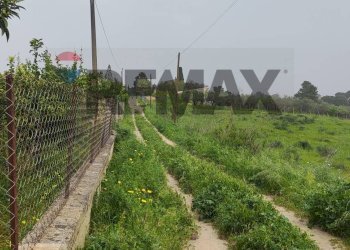 Giardino - Villa CONTRADA SAN NICOLO' LE CANNE
 
SN, Caltagirone - foto 10