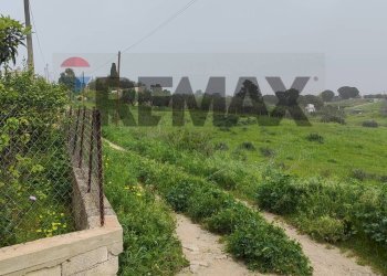 Giardino - Villa CONTRADA SAN NICOLO' LE CANNE
 
SN, Caltagirone - foto 11