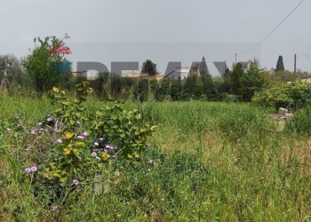 Giardino - Villa CONTRADA SAN NICOLO' LE CANNE
 
SN, Caltagirone - foto 31