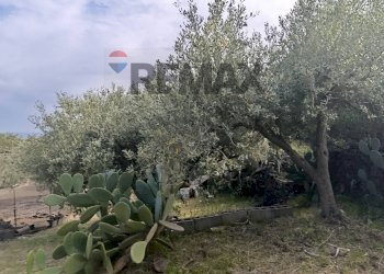 Giardino - Terreno agricolo Contrada Scagliola, Belpasso - foto 4