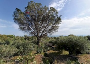 Giardino - Terreno agricolo Contrada Scagliola, Belpasso - foto 11