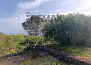 Giardino - Terreno agricolo Contrada Scagliola, Belpasso - foto 13