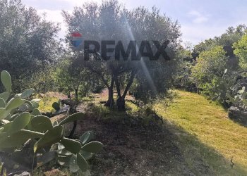 Giardino - Terreno agricolo Contrada Scagliola, Belpasso - foto 17