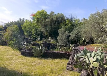 Giardino - Terreno agricolo Contrada Scagliola, Belpasso - foto 19
