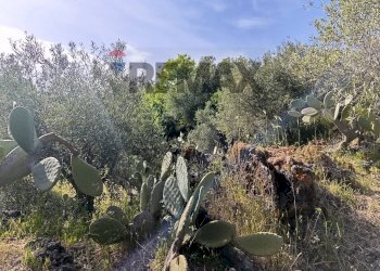 Non correlato - Terreno agricolo Contrada Scagliola, Belpasso - foto 21