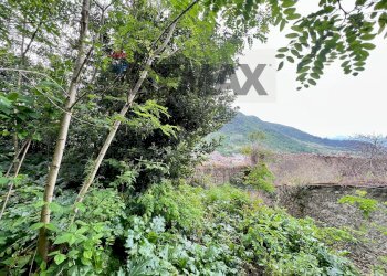Vista delle montagne - Appartamento via Cirelli
 
1, Vairano Patenora - foto 133